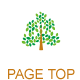 PAGE TOP